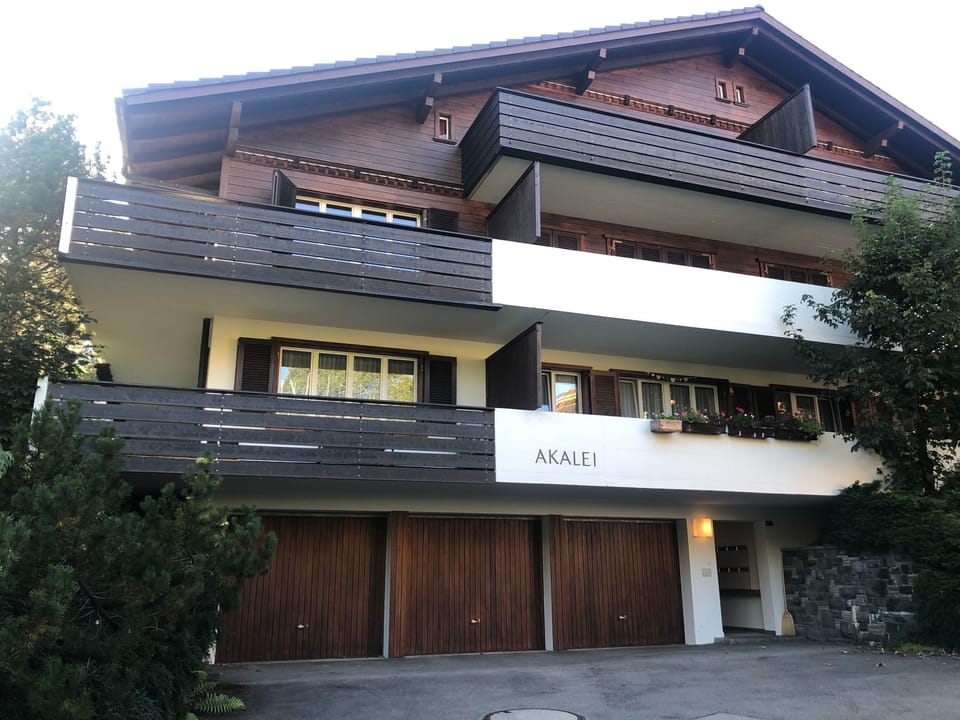 Akalei Appartement/Fewo, Dusche, WC, 3 Schlafräume 4.5-Zimmerwohnung Apartment in Adelboden