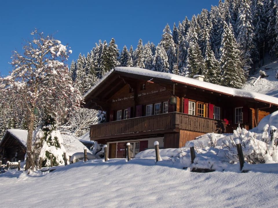 Chalet Iris Appartement/Fewo, Dusche, WC, 2 Schlafräume 3-Zimmerwohnung Apartment in Adelboden
