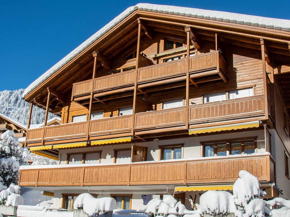 Loft Erlebnis Adelboden Appartement/Fewo, Dusche, WC, 2 Schlafräume Apartment in Adelboden