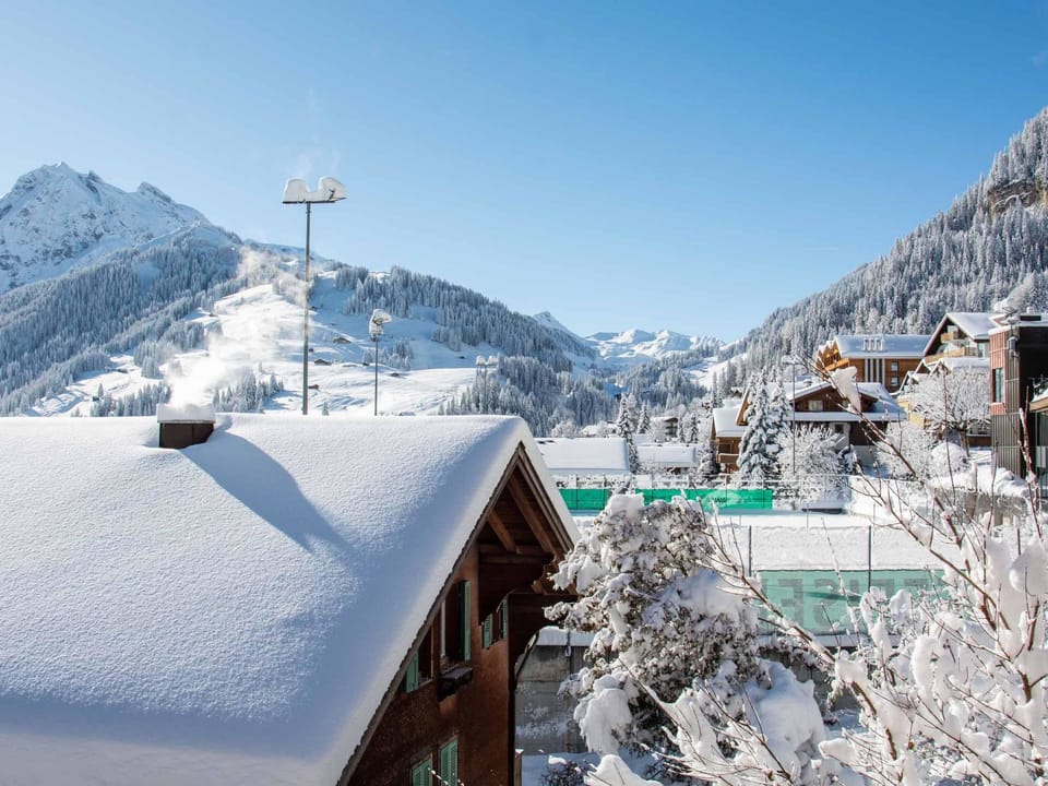 Loft Erlebnis Adelboden Appartement/Fewo, Dusche, WC, 2 Schlafräume Apartment in Adelboden