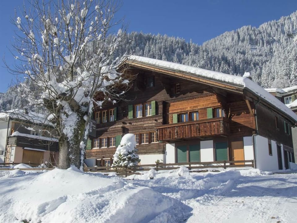 Studio Riseten Appartement/Fewo, Dusche, WC, 1 Schlafraum 1-Zimmerwohnung Apartment in Adelboden