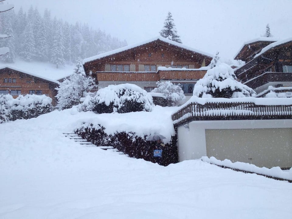 Chalet Grimm Appartement/Fewo, Dusche, WC 5.5-Zimmerwohnung Apartment in Adelboden