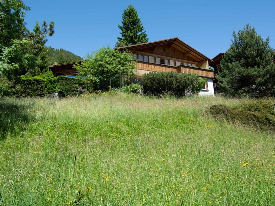 Chalet Grimm Appartement/Fewo, Dusche, WC 5.5-Zimmerwohnung Apartment in Adelboden