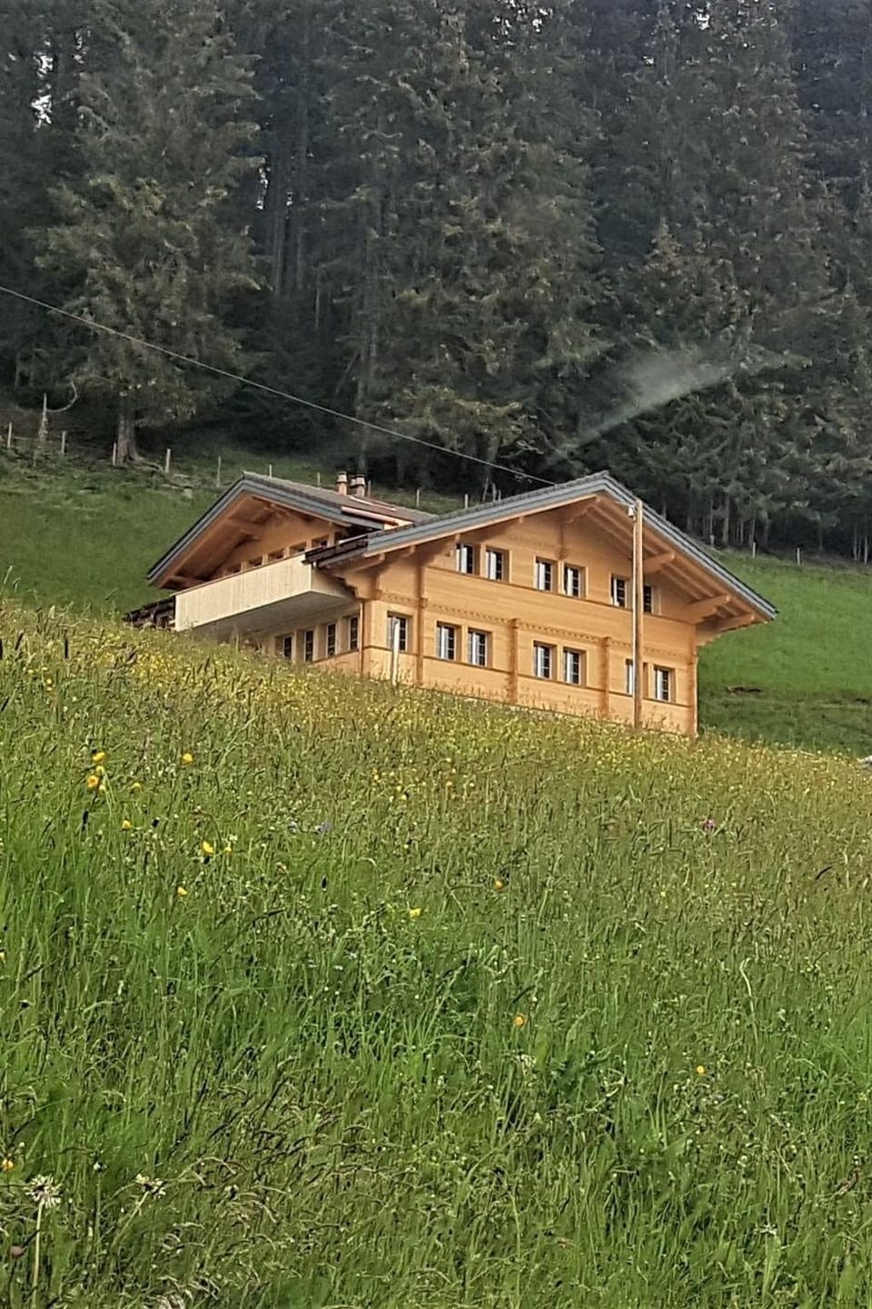Sonnen-Panorama Appartement/Fewo, Dusche, WC 1-Zimmerwohnung Apartment in Adelboden