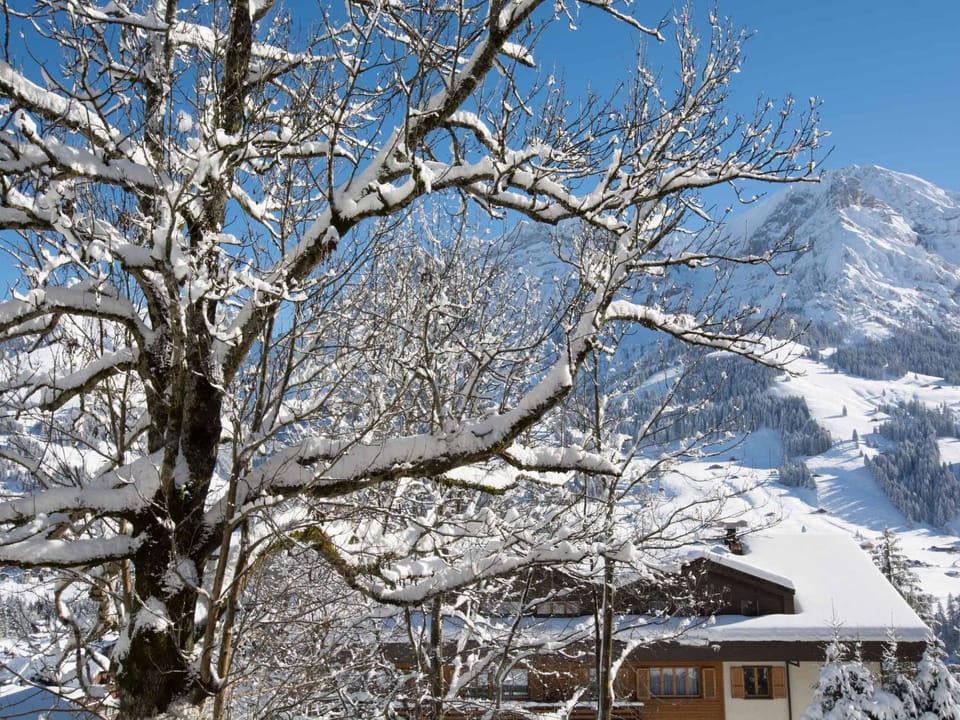 Senggi Appartement/Fewo, Dusche, WC, 1 Schlafraum 2-Zimmerwohnung Apartment in Adelboden