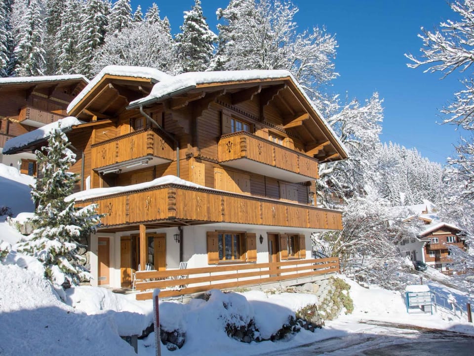 Senggi Appartement/Fewo, Dusche, WC, 1 Schlafraum 2-Zimmerwohnung Apartment in Adelboden
