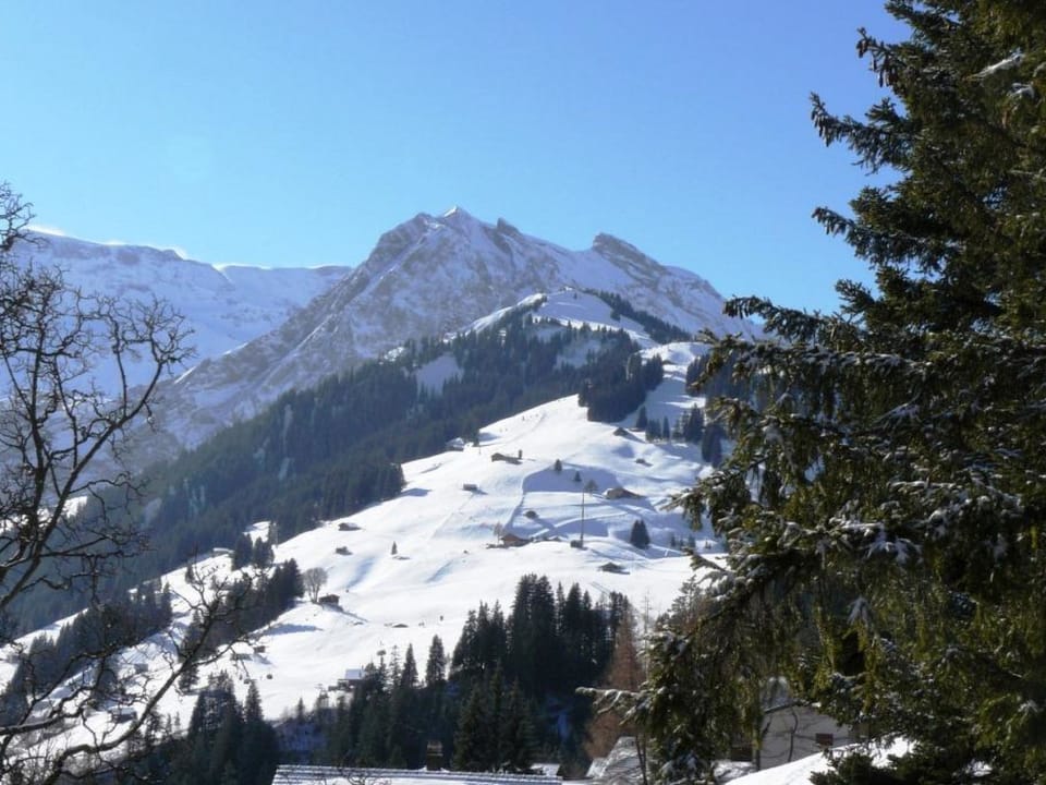 Juwel 2 Appartement/Fewo, Bad, WC, 2 Schlafräume 3.5-Zimmerwohnung Apartment in Adelboden