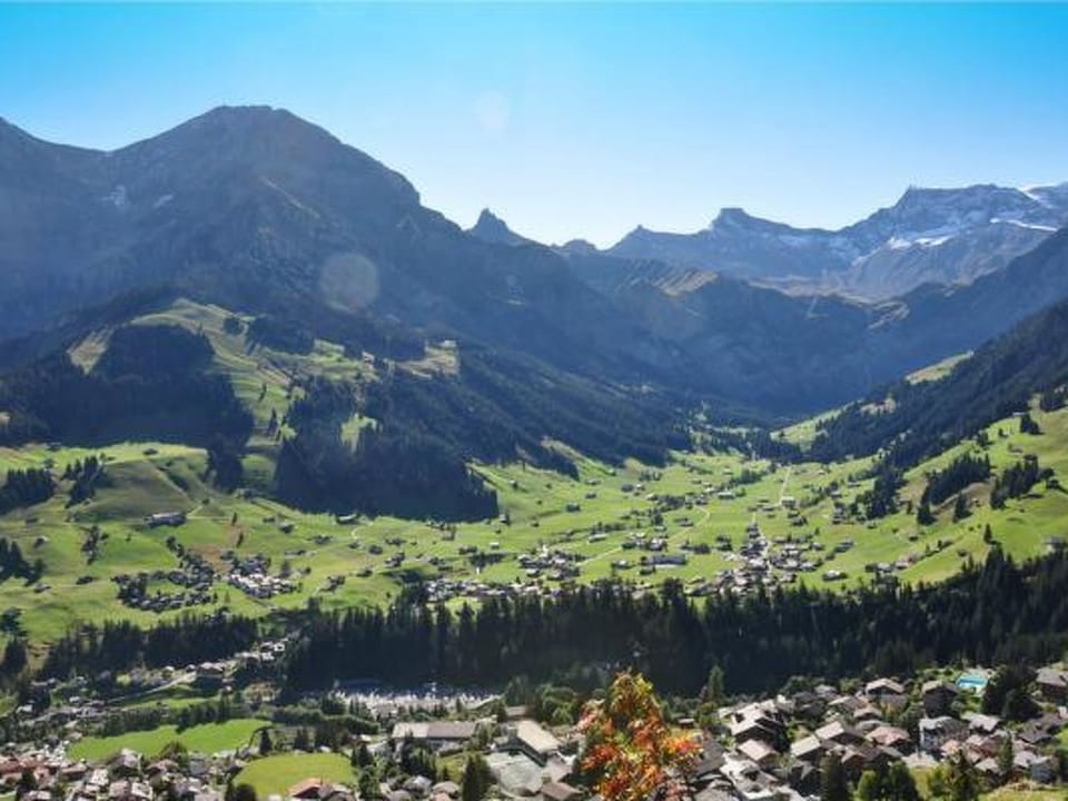 Juwel 2 Appartement/Fewo, Bad, WC, 2 Schlafräume 3.5-Zimmerwohnung Apartment in Adelboden