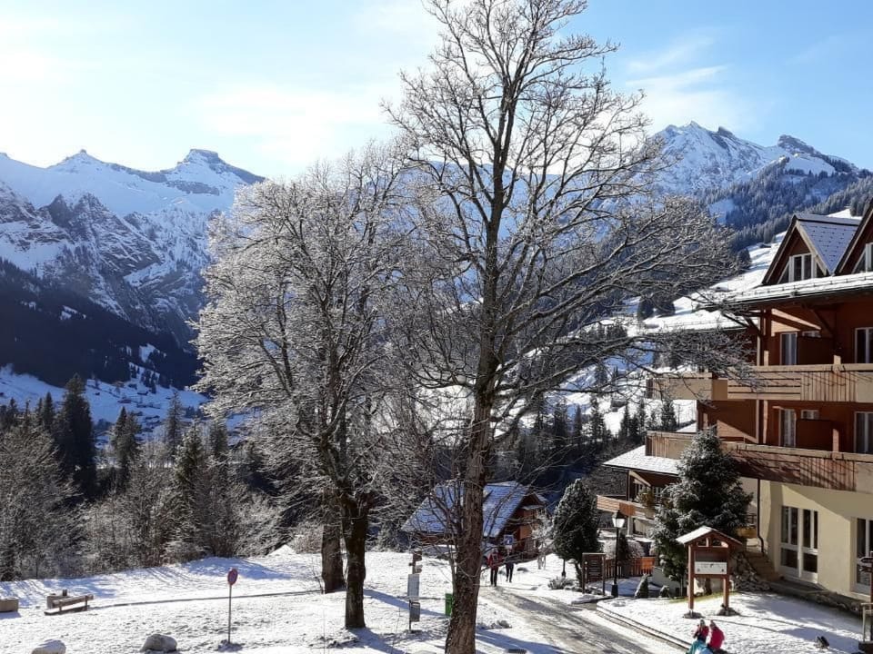 Selva AP A8, 1-Zimmerwohnung Apartment in Adelboden