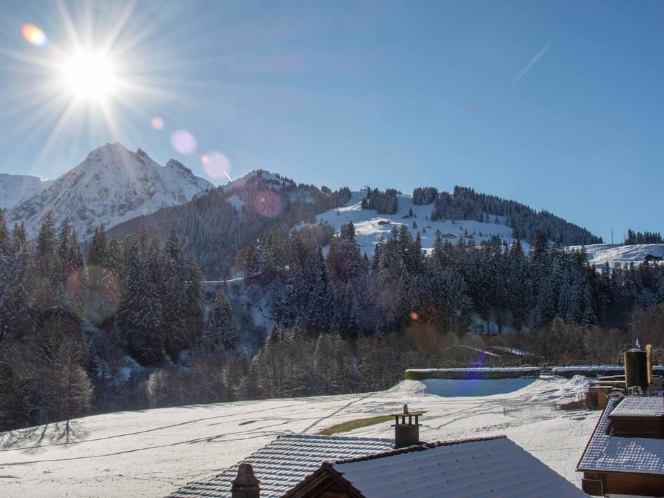 Schützenrain DG Appartement/Fewo, Dusche und Bad, WC, 4 oder mehr Schlafräume Apartment in Adelboden
