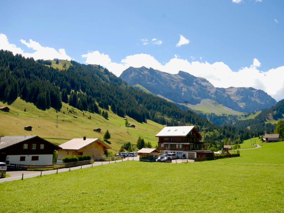 Stockbrunä Appartement/Fewo, Bad, WC, 2 Schlafräume Apartment in Adelboden