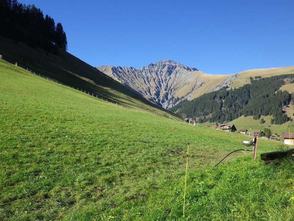 Bim Lerch Appartement/Fewo, Bad, WC, 3 Schlafräume 4.5-Zimmerwohnung Apartment in Adelboden