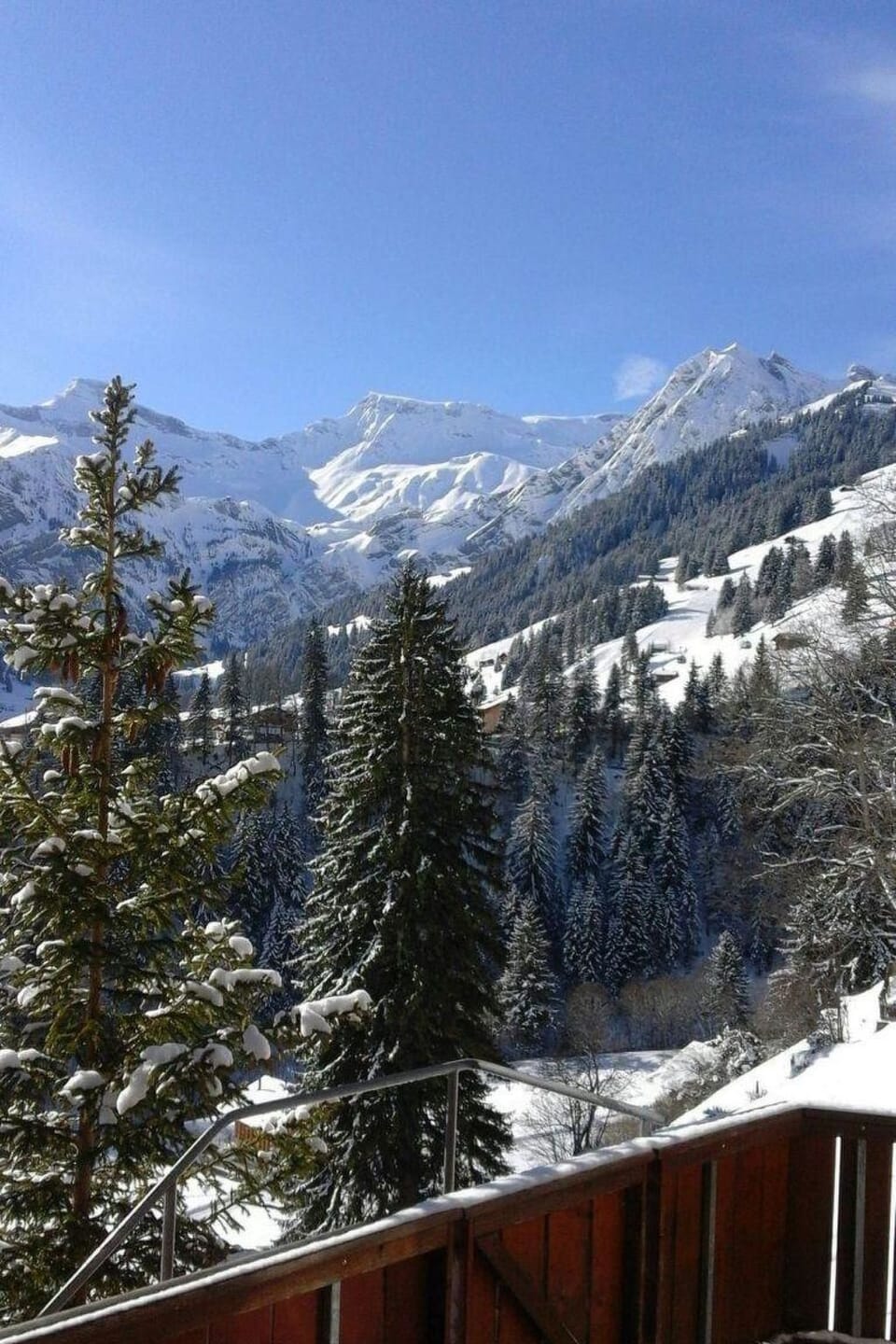 Adlerhorst Appartement/Fewo, Dusche, WC, 2 Schlafräume 3-Zimmerwohnung Apartment in Adelboden