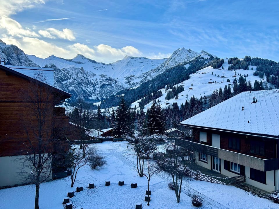 Lavendel AP C22 Appartement/Fewo, Dusche, WC, 3 Schlafräume 4-Zimmerwohnung Apartment in Adelboden