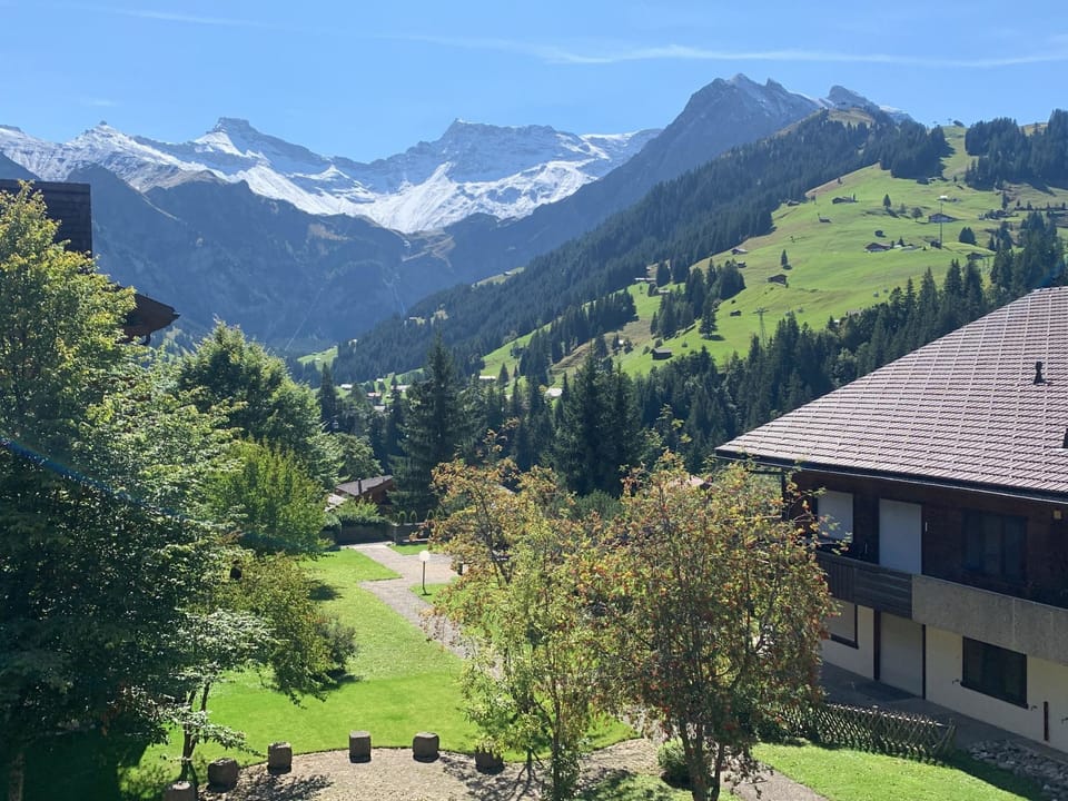 Lavendel AP C22 Appartement/Fewo, Dusche, WC, 3 Schlafräume 4-Zimmerwohnung Apartment in Adelboden