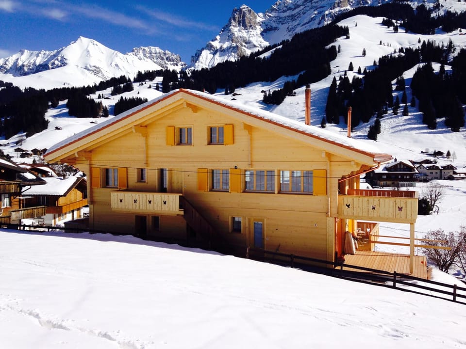 Butterfly Appartement/Fewo, Bad, WC, 3 Schlafräume 4-Zimmerwohnung Apartment in Adelboden