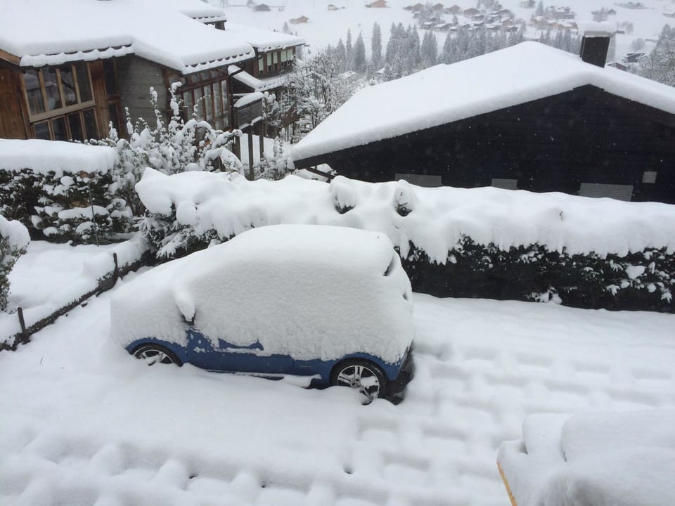 Hubelhüsi Appartement/Fewo, Dusche oder Bad, WC, 4 oder mehr Schlafräume Apartment in Adelboden