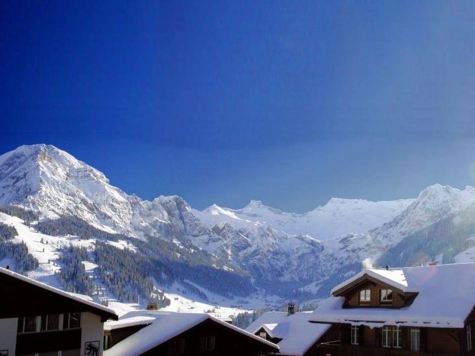 Pierenhus Appartement/Fewo, Dusche, WC, Balkon 2-Zimmerwohnung Apartment in Adelboden