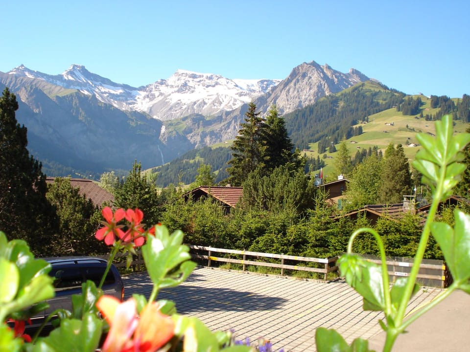 Sunnegruess Appartement/Fewo, Dusche, WC, 2 Schlafräume 3-Zimmerwohnung Apartment in Adelboden