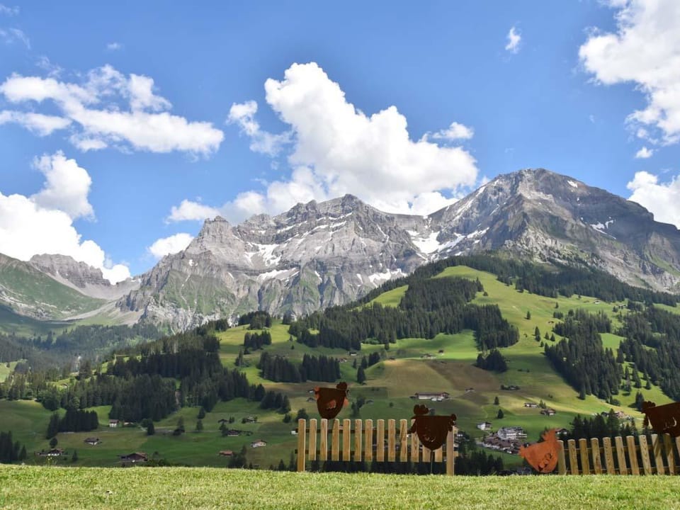 Gästehaus Alpengruss Appartement/Fewo, Dusche, WC, 1 Schlafraum Apartment in Adelboden