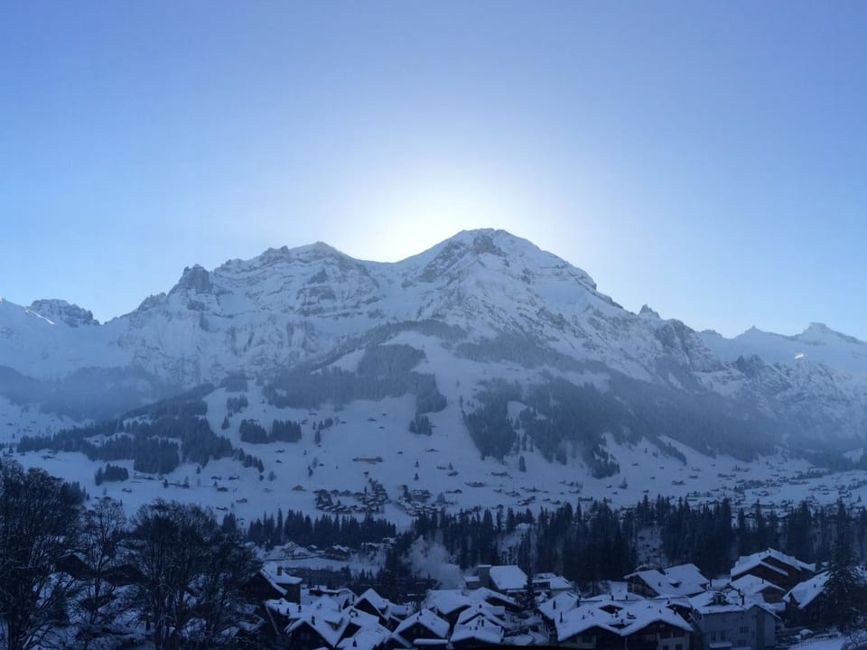 Juwel Appartement/Fewo, Dusche, WC, 2 Schlafräume 3-Zimmerwohnung Apartment in Adelboden