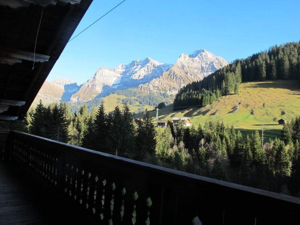Gilbachhöckli 2 Appartement/Fewo, Bad, WC, 3 Schlafräume 4-Zimmerwohnung Apartment in Adelboden