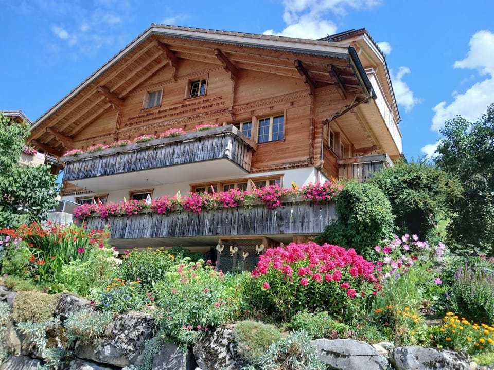 Haus Abäsonne Appartement/Fewo, Bad, WC, 1 Schlafraum 2.5 Zimmerwohnung Apartment in Adelboden