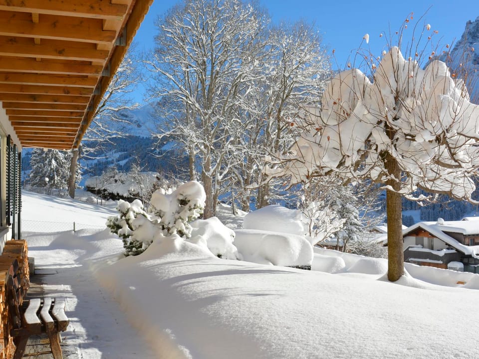 Chalet Gsür Appartement/Fewo, Bad, WC, 2 Schlafräume Apartment in Adelboden