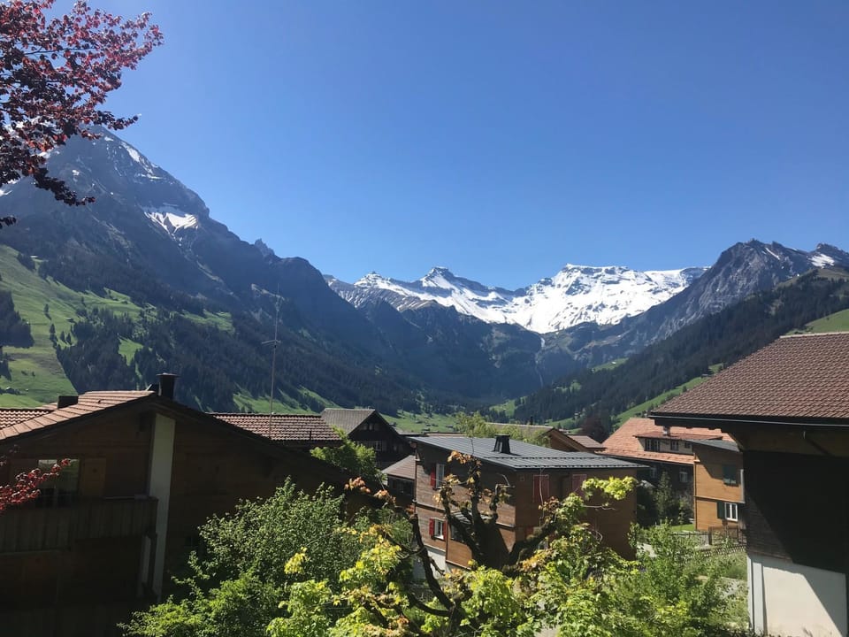Haldematt Appartement/Fewo, Bad, WC, 3 Schlafräume 4-Zimmerwohnung Apartment in Adelboden