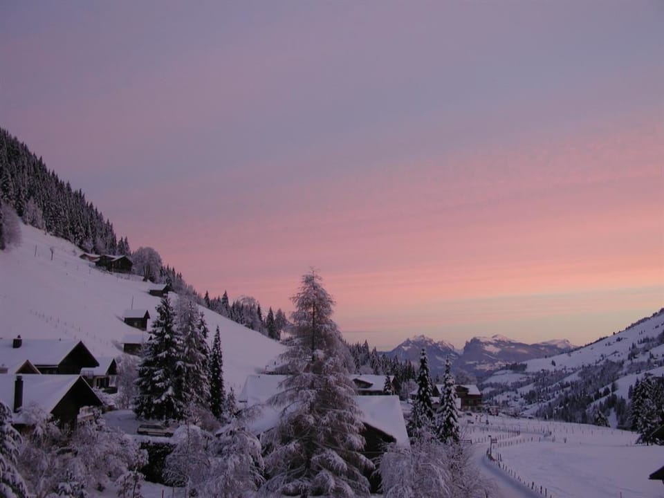 Huus Horbütze Appartement/Fewo, Dusche, WC, 2 Schlafräume Apartment in Adelboden
