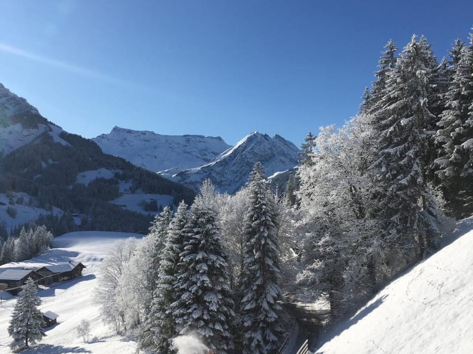 Elim Appartement/Fewo, Bad, WC, 4 oder mehr Schlafräume 5.5 Zimmerwohnung Apartment in Adelboden
