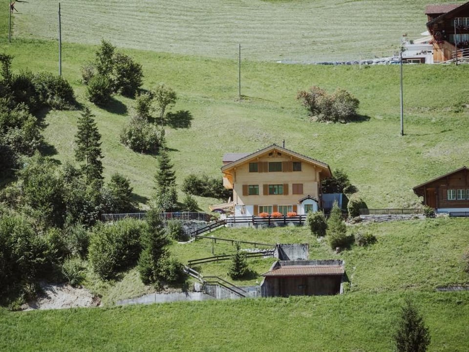 Chalet Christeli Appartement/Fewo, Dusche oder Bad, WC, 4 oder mehr Schlafräume Apartment in Adelboden