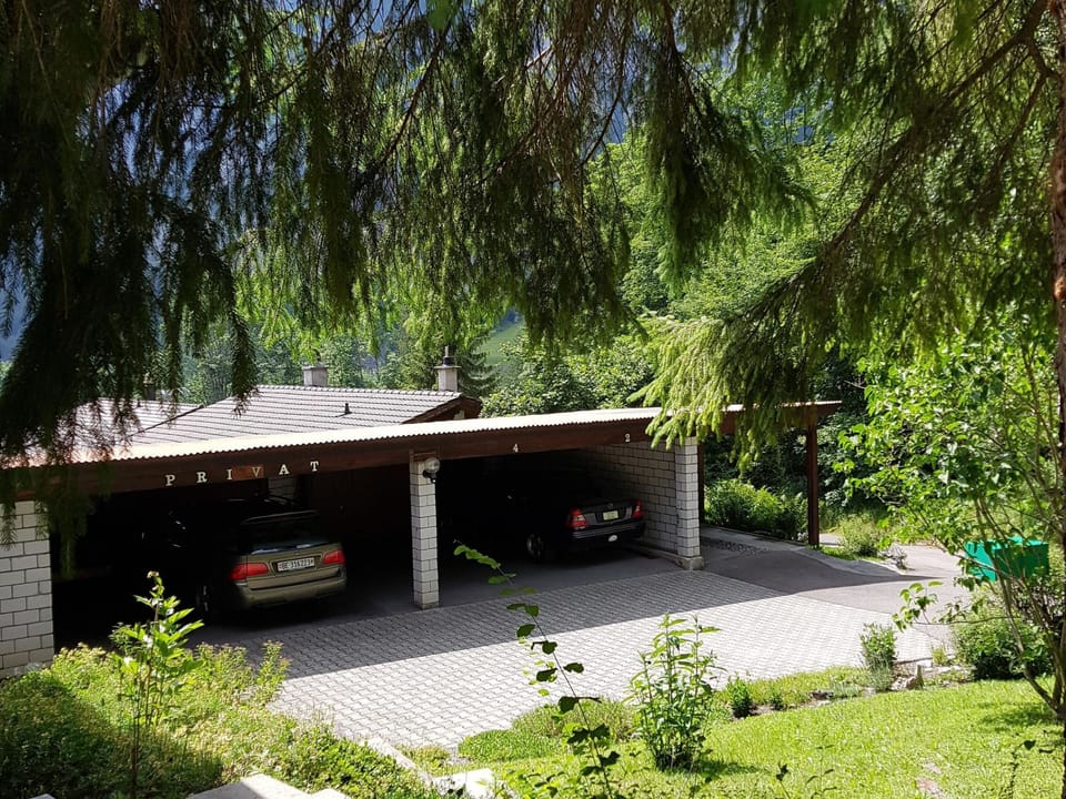 Chalet Rosmarie Appartement/Fewo, Dusche, WC, 1 Schlafraum Apartment in Canton of Valais