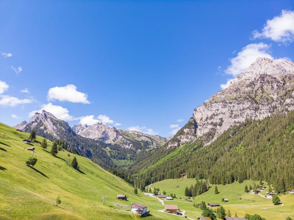 View