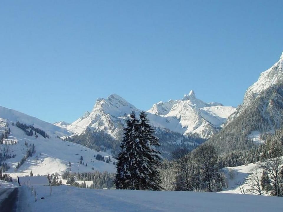 Appartement Eggmatte Apartment in Canton of Valais