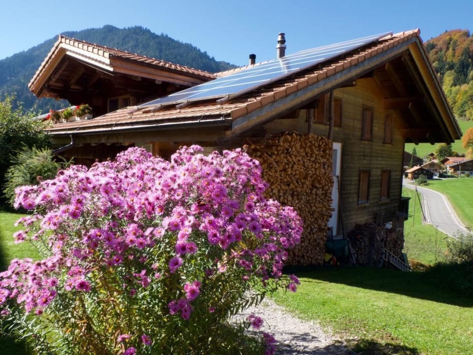 Chalet Ried Apartment in Canton of Valais