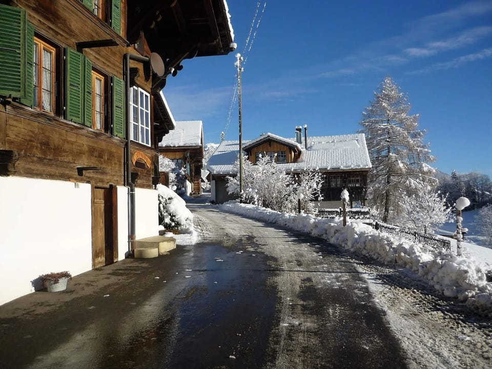 Adlemsried Appartement/Fewo, Dusche oder Bad, WC, 4 oder mehr Schlafräume Apartment in Canton of Valais