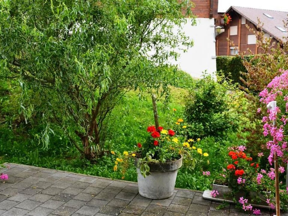 Outdoor