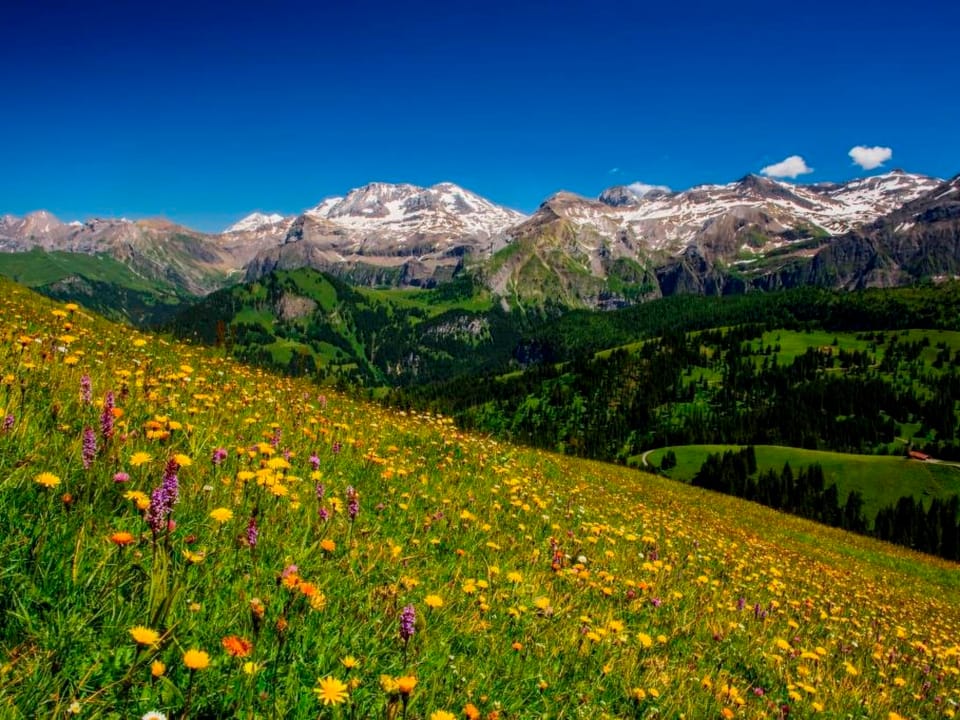 Teleboy Appartement/Fewo, Dusche oder Bad, WC, 1 Schlafraum 4-Bett-Wohnung Apartment in Canton of Valais