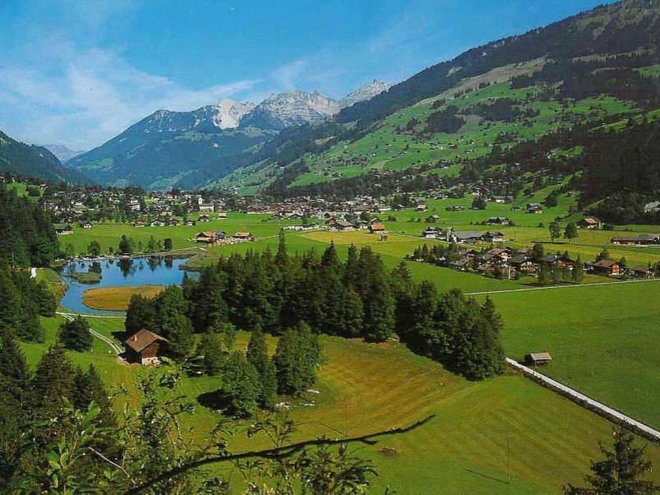 Burgbüel # 1 Appartement/Fewo, Dusche oder Bad, WC, 4 oder mehr Schlafräume Apartment in Canton of Valais