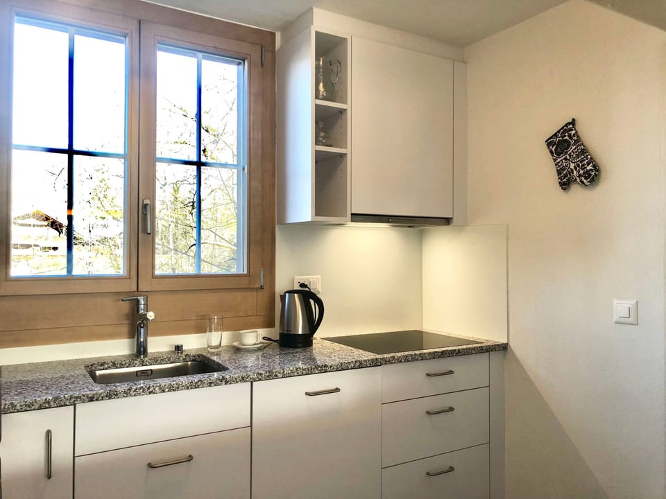 Oberland Nr. 29 Appartement/Fewo, Dusche oder Bad, WC 6-Bettwohnung Apartment in Saanen