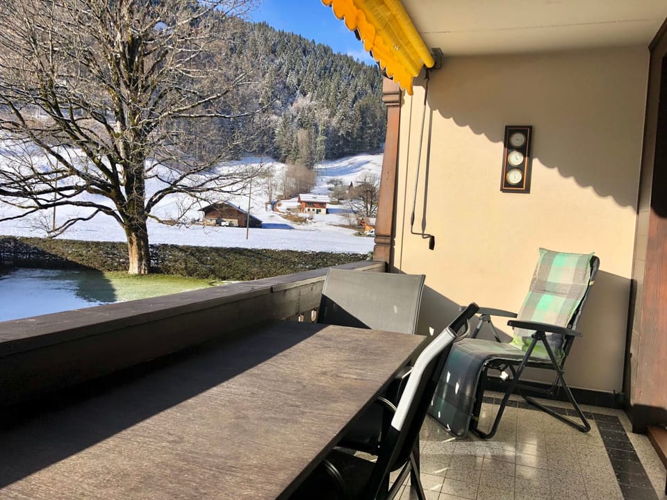 Oberland Nr. 29 Appartement/Fewo, Dusche oder Bad, WC 6-Bettwohnung Apartment in Saanen