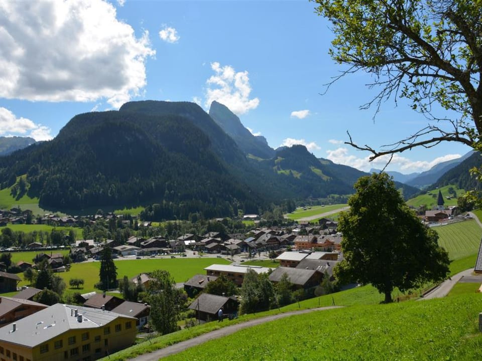 View