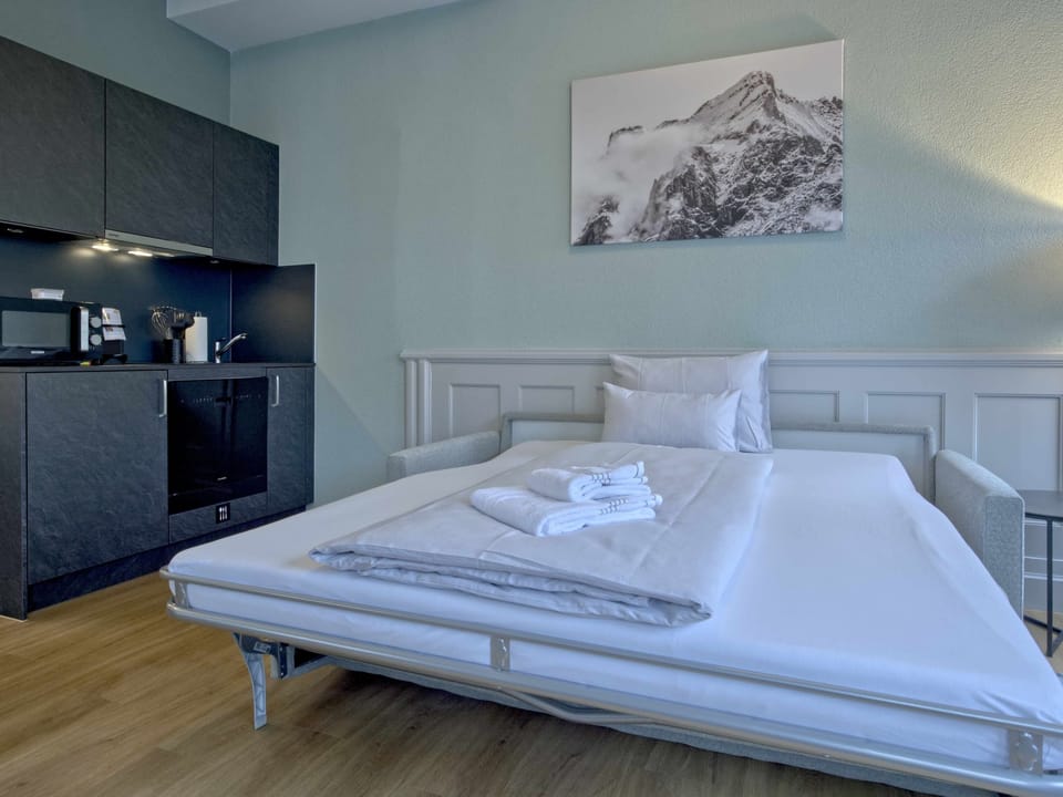 BankHouse Apt. L103 Apartment in Interlaken