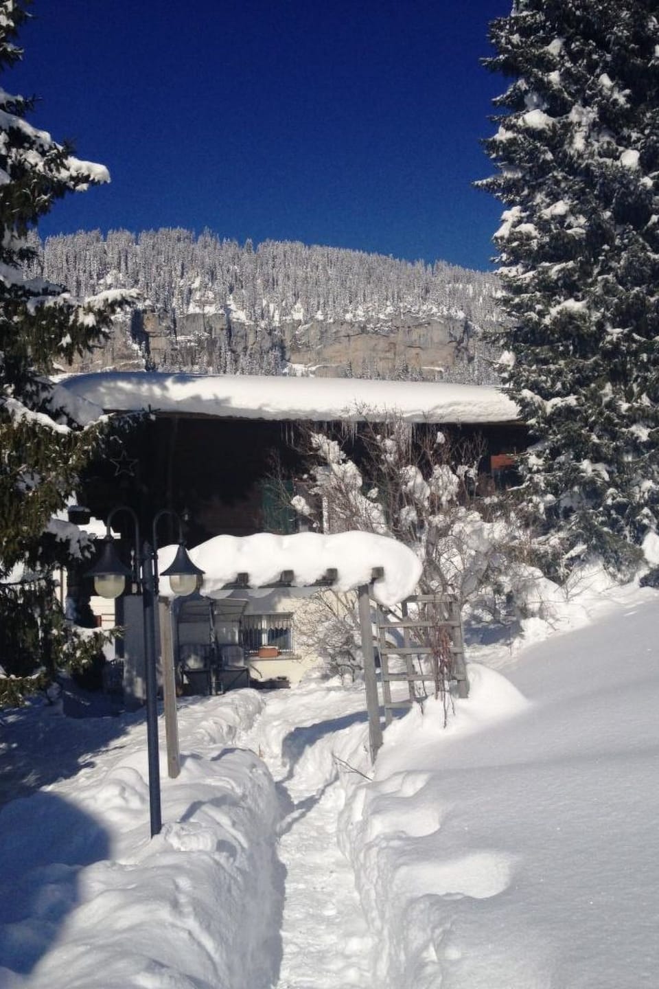Chalet Mon Abri Appartement/Fewo 4-Bettwohnung Apartment in Canton of Bern (Region)
