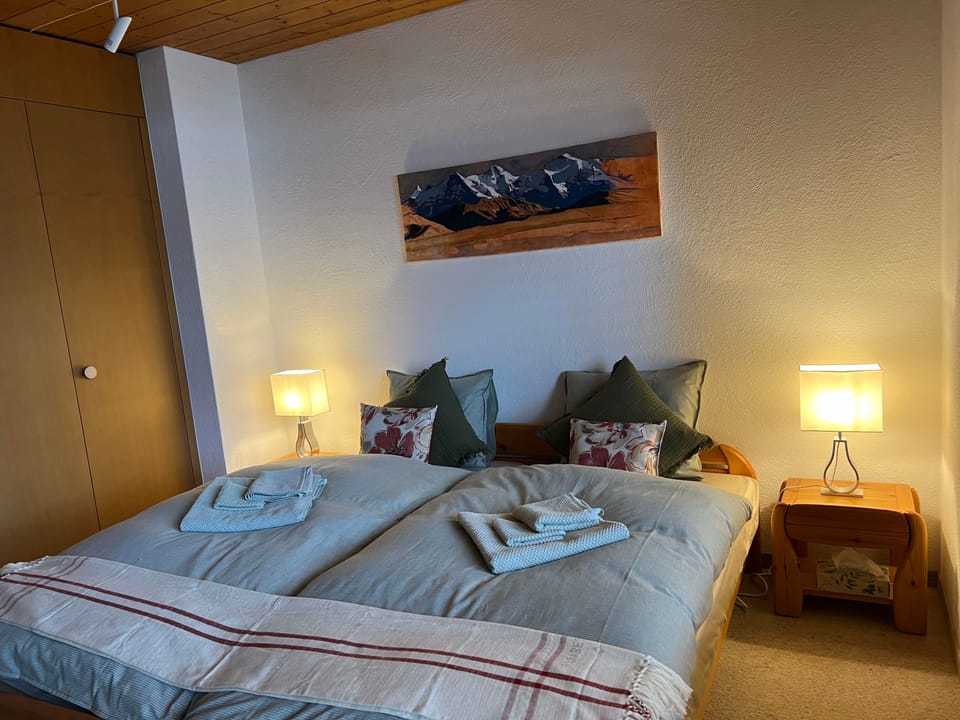 Möösli Vue Appartement/Fewo Appartement/Fewo Apartment in Canton of Bern (Region)