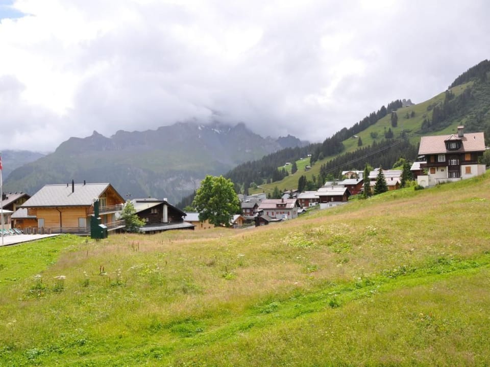 Finel Apartment in Murren