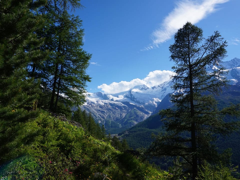 Rosenheim Appartement/Fewo Appartement/Fewo Apartment in Canton of Valais