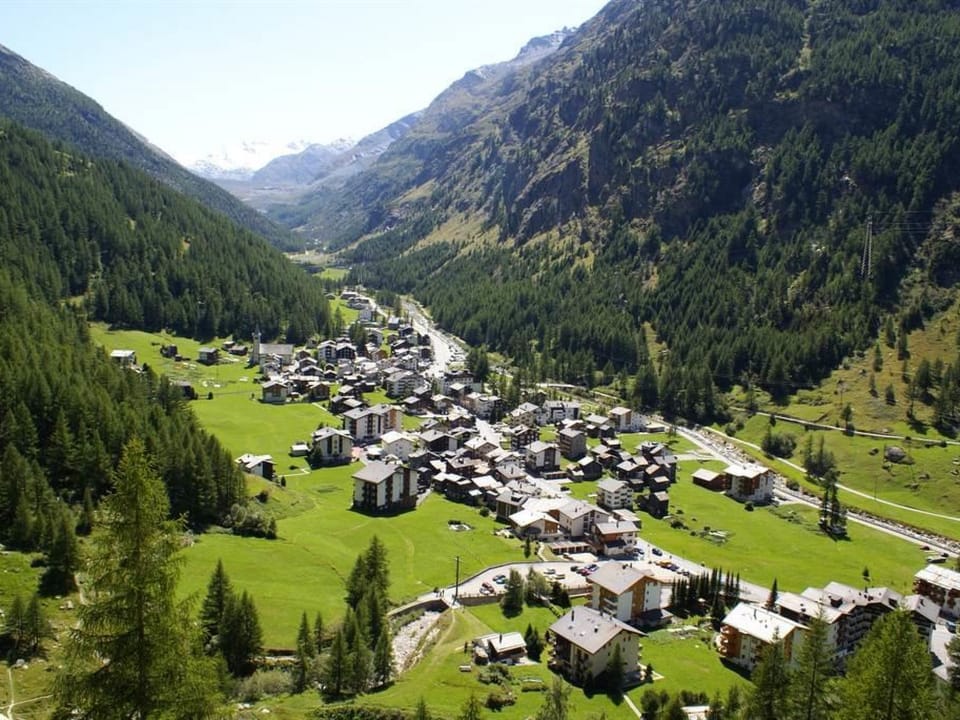 Haus Alpenrose Appartement/Fewo Alpenrose 6-Bettwohnung EG Ost Apartment in Canton of Valais