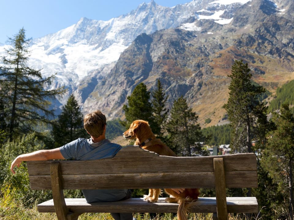 Am Biel 3 Appartement/Fewo 2-Bettwohnung Nr. 3 Apartment in Saas-Fee